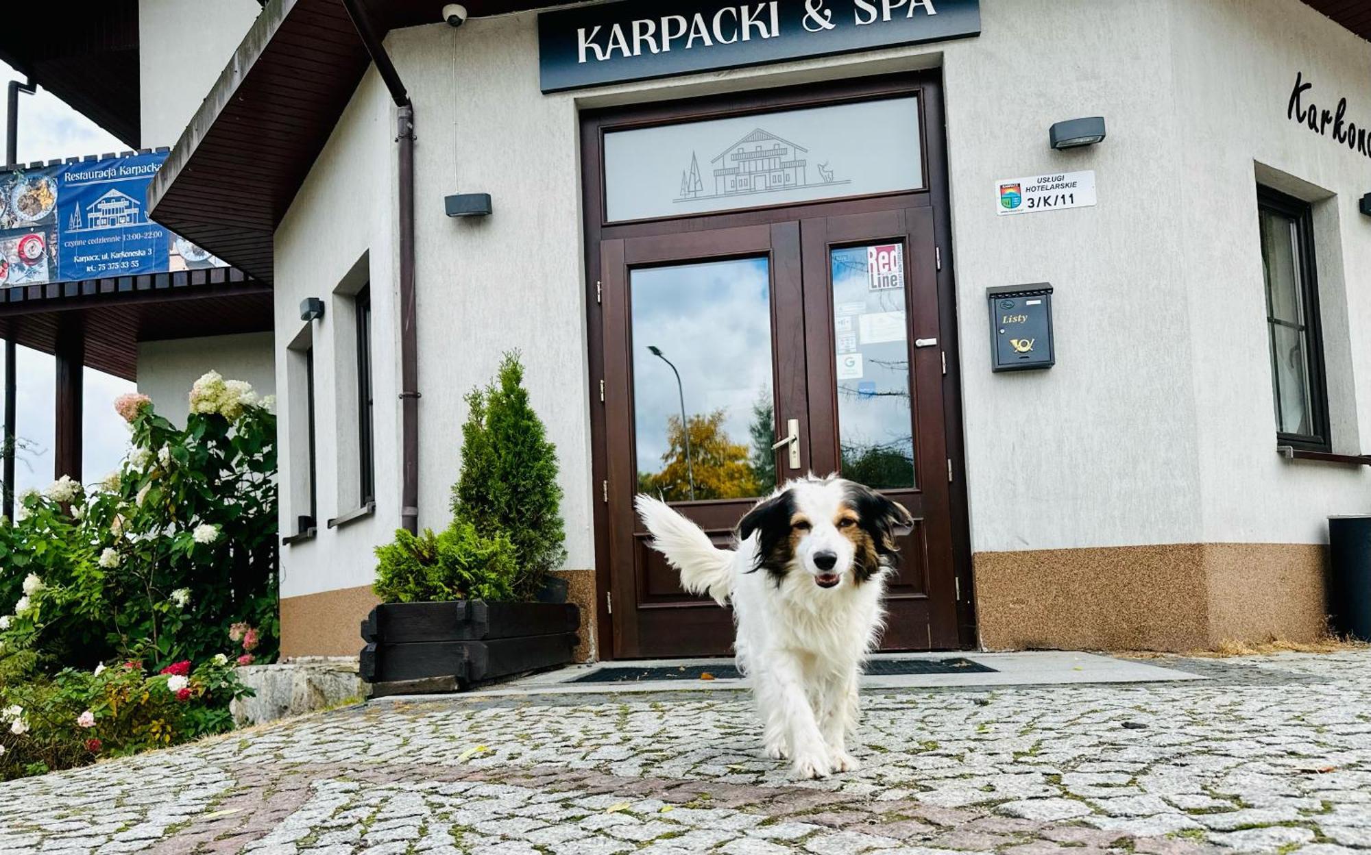 Karpacki & Spa - Blisko Wyciagu, Restauracja, Sala Zabaw, Bar 24H (Adults Only) Karpacz Εξωτερικό φωτογραφία